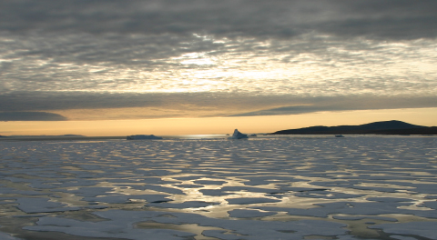 Arctic land