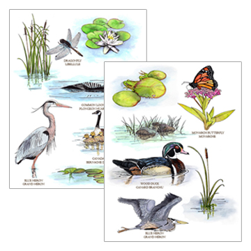 Bonnidee stamps