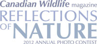 Reflections of Nature Photo Contest