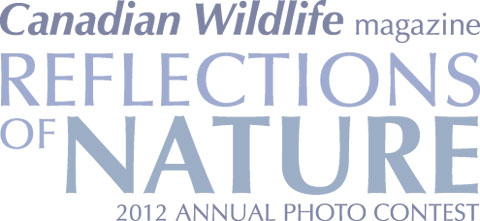 Reflections of Nature Photo Contest