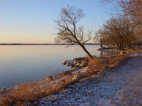 November 2009: Capture the Cold