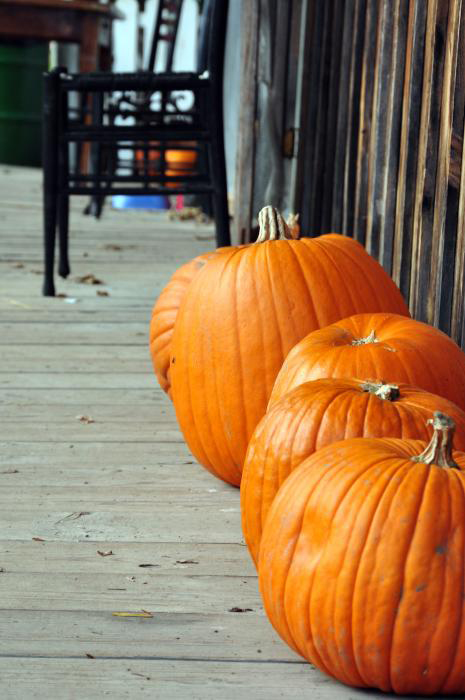 October 2009: Black & Orange