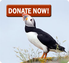 Donate