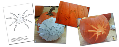 Pumpkin carving steps