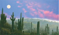 Ecotourism