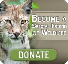 Donate