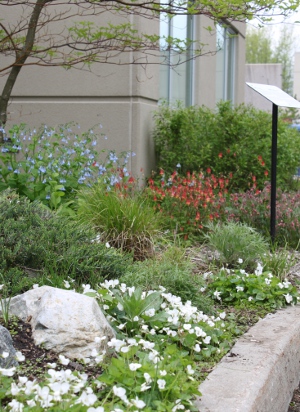 spring flowers by pond bed sign