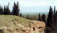 Hills