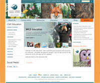 ed site 200