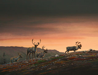 WREAF - paiting of caribou