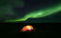 The Northern Lights Above Camp