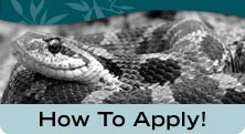 How To Apply