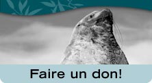 Donate Now