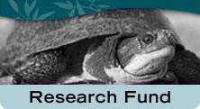 Funded Projects