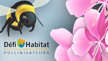 Défi Habitat
