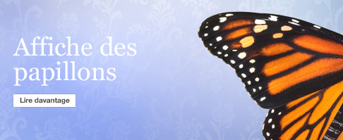 Ressources