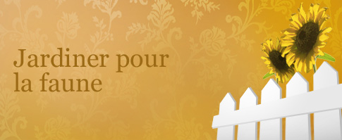 Jardinage pour la faune