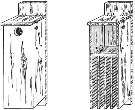 Bird Houses Plans on More On Bat House  Bird House Combination Picture