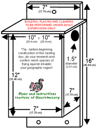 Flying squirrel box 