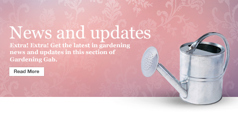 News and updates