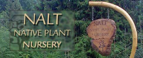 nalt