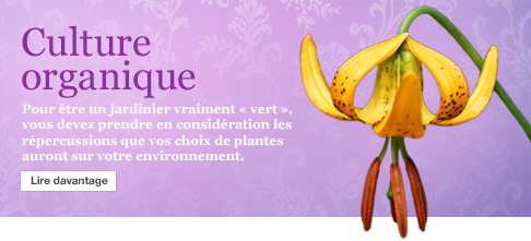Culture Organique