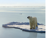 climate change