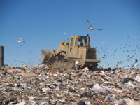 Recycle