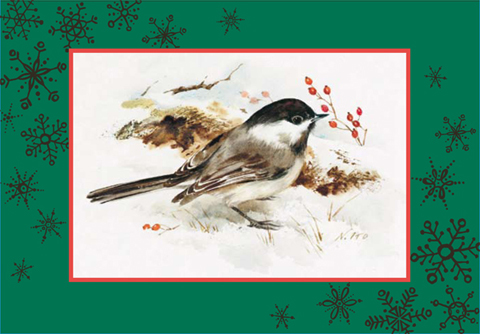 Christmas ecards 2009 480