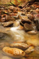 Hidden stream