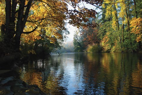 Rivière en automne