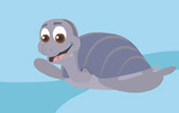 seaturtle