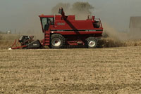 Agriculture
