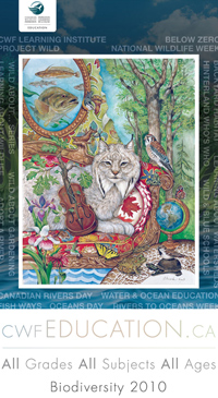 Biodiversity Poster