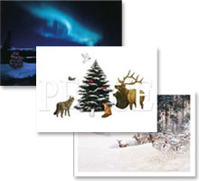 CWF Christmas Cards 2008