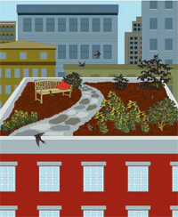 Raise a Green Roof / un toit vert 