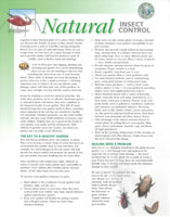 Insect Control Handout