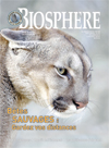 Magazine Cover