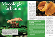 jul/aug 2008 micology