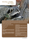 jul/aug 2008 faune