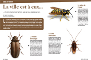 jul/aug 2008 guide