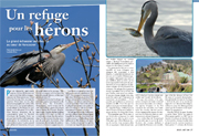 jul/aug 2008 herons