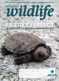 cw cover jf2012 200