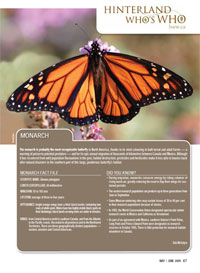 Monarch