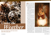 CW jan-feb 2008 bh