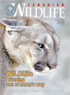 CW Jan-Feb 2008 cover