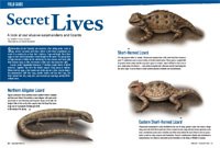 Field Guide