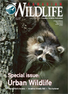 Jul/Aug 2008 CW cover