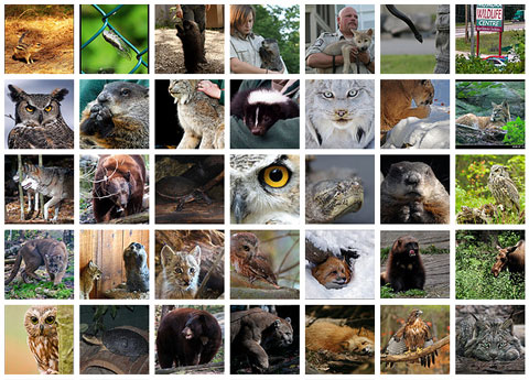 muskoka photos 480