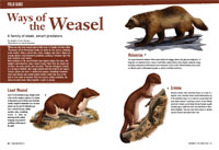 Field guide